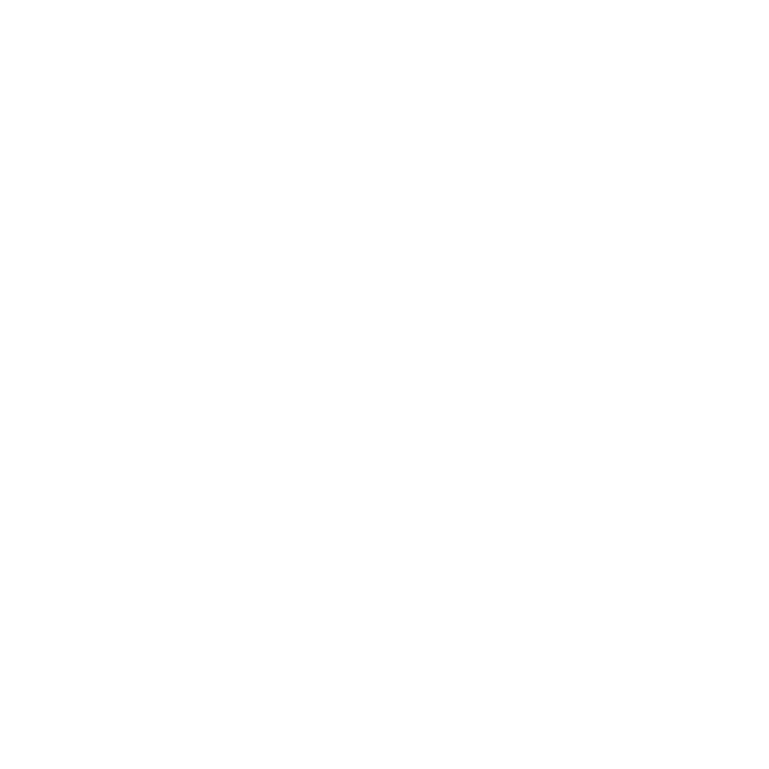Critics Choice Award - MR. X
